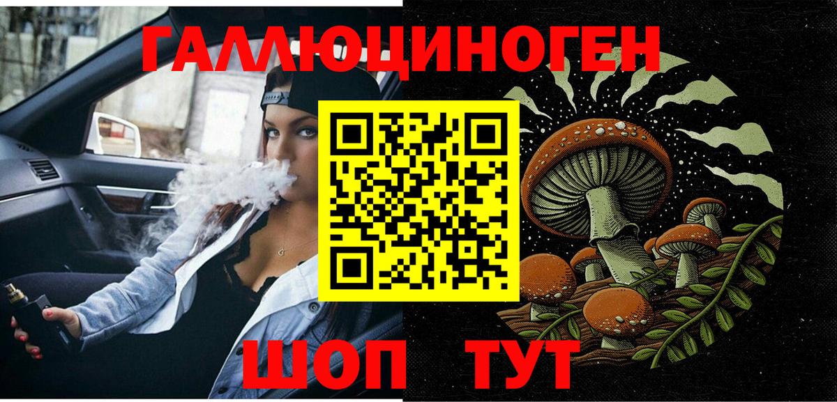 Чистополь  даркнет сайт  Псилоцибиновые грибы MAGIC MUSHROOMS  Вход с VPN  Галлюциногенные грибы Psilocybe 
